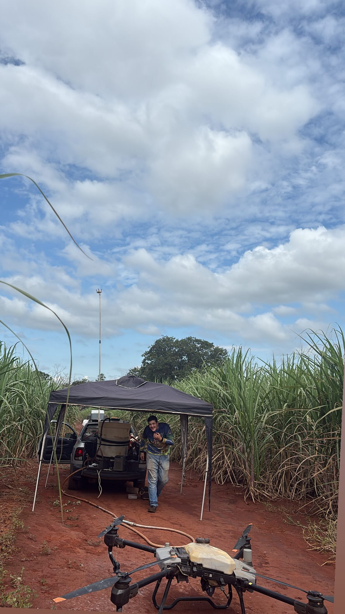 Aplicação de fungicida à base de cobre — Ribeirão Preto – SP